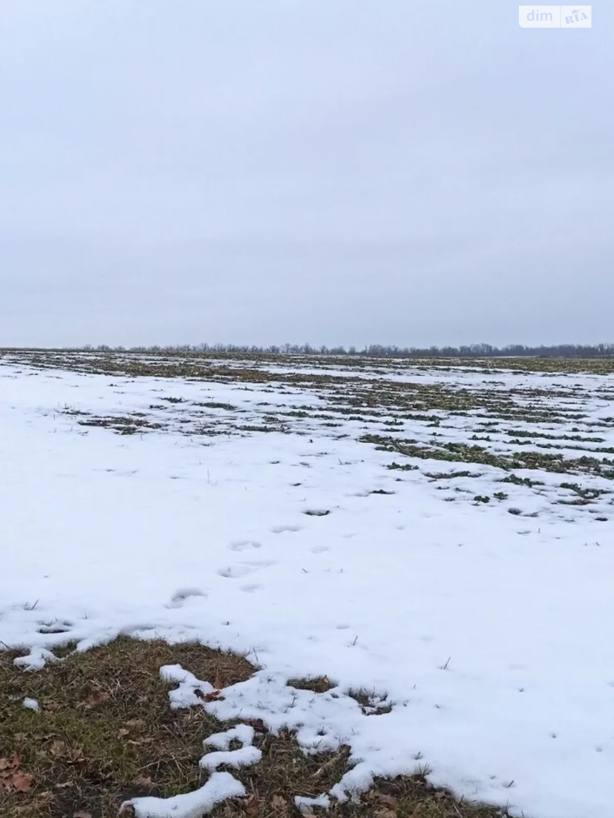 Сдается в аренду земельный участок 1.8071 соток в Винницкой области, цена: 9393 грн - фото 1