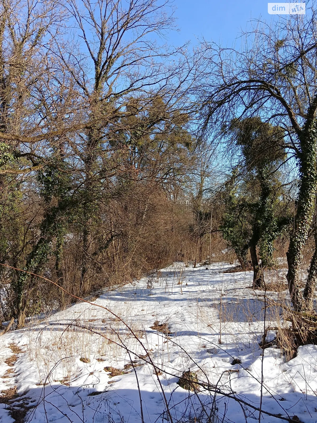 Продается земельный участок 10.5 соток в Львовской области, цена: 44500 $ - фото 1