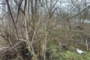 Аренда участков