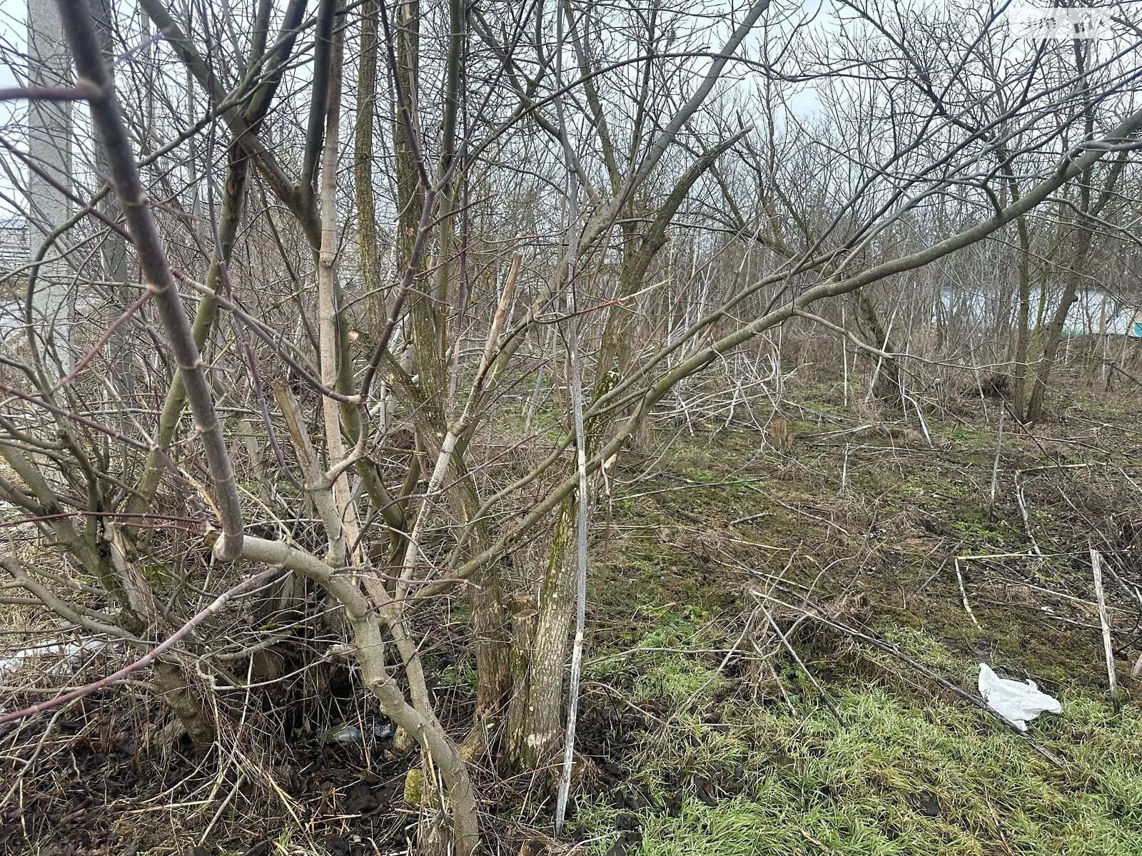 Сдается в аренду земельный участок 0.3558 соток в Винницкой области, цена: 65068 грн - фото 1