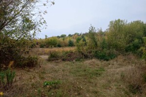 Аренда участков