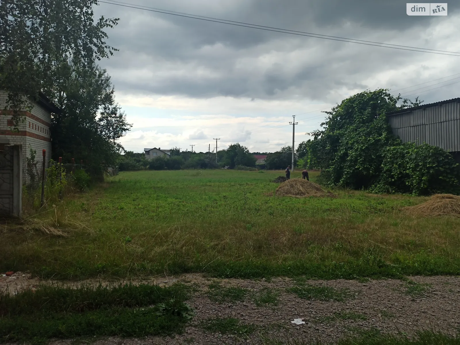 Продается земельный участок 10 соток в Черниговской области, цена: 10750 $ - фото 1