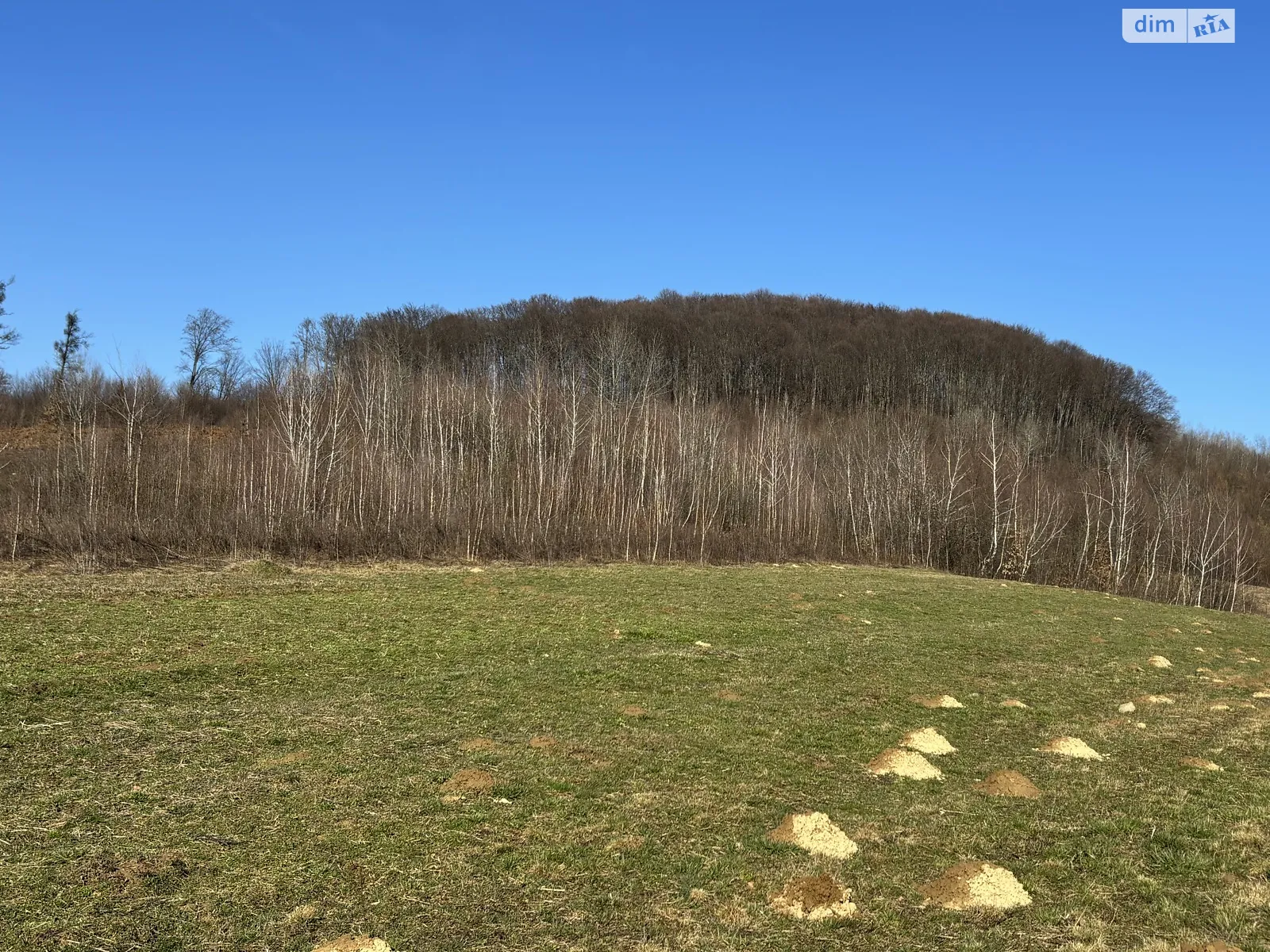 Кленовець, цена: 200000 $ - фото 1