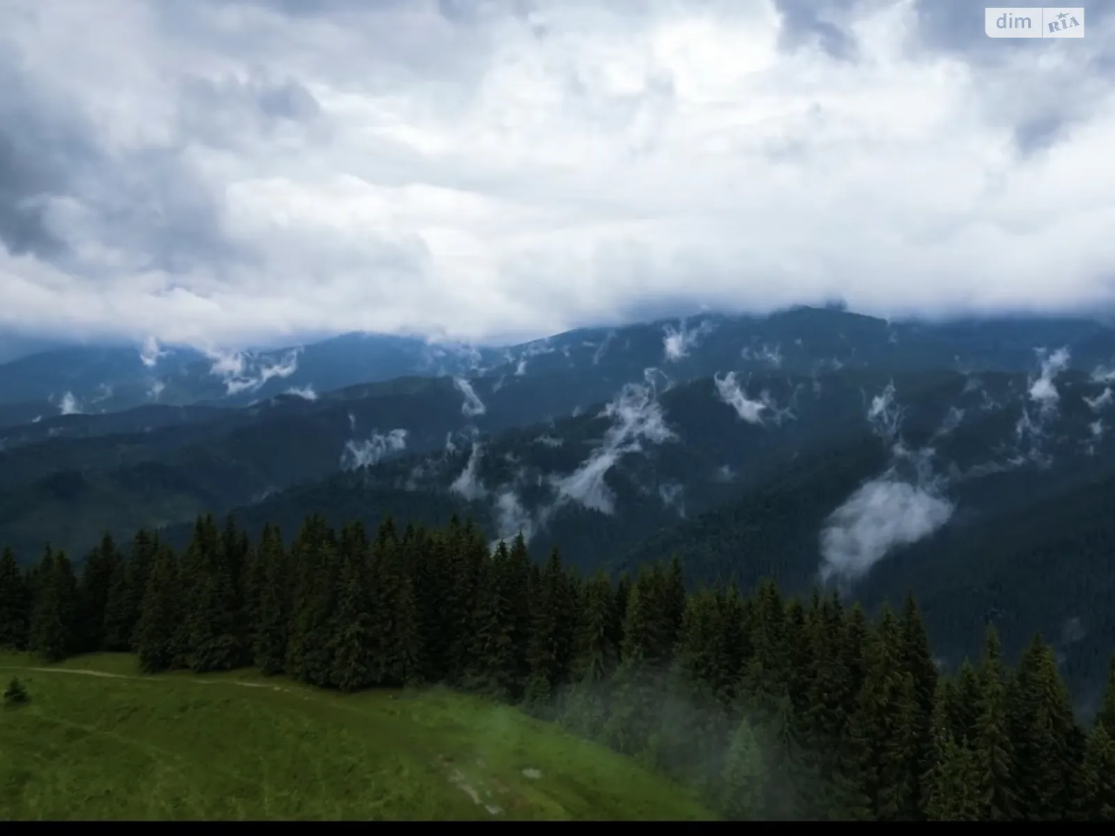 Чорна Тиса, цена: 24000 $ - фото 1