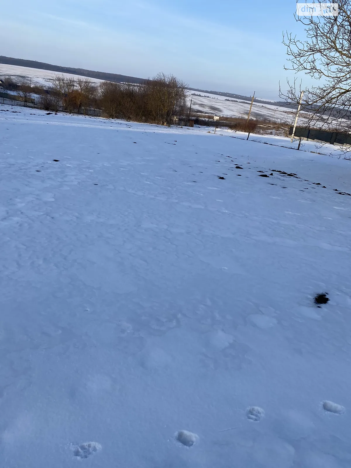 Продается земельный участок 25 соток в Хмельницкой области, цена: 20000 $ - фото 1