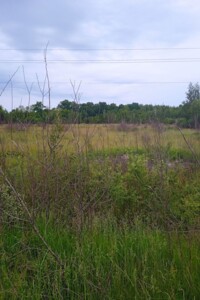 Сниму земельный участок в Житомире долгосрочно
