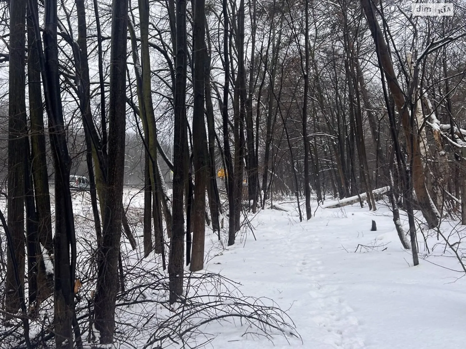 Продается земельный участок 10 соток в Киевской области, цена: 44000 $ - фото 1