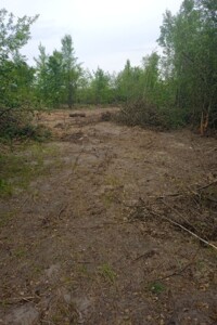 Сниму земельный участок в Житомире долгосрочно