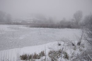 Аренда участков