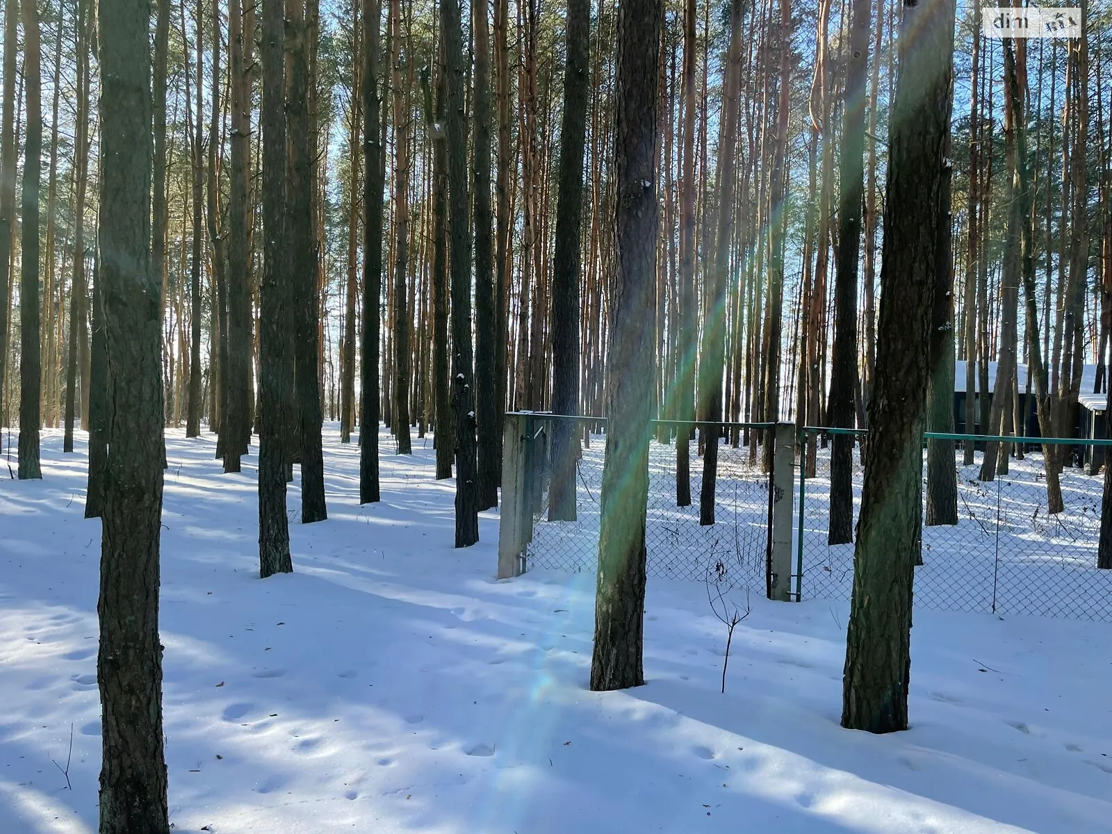 Продается земельный участок 0.3937 соток в Волынской области, цена: 3399757 грн - фото 1