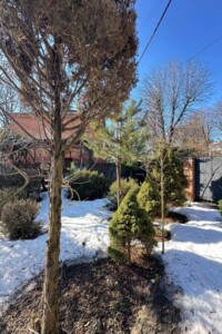 Продаж ділянки під житлову забудову, Хмельницький, р‑н. Центр, Володимирський провулок