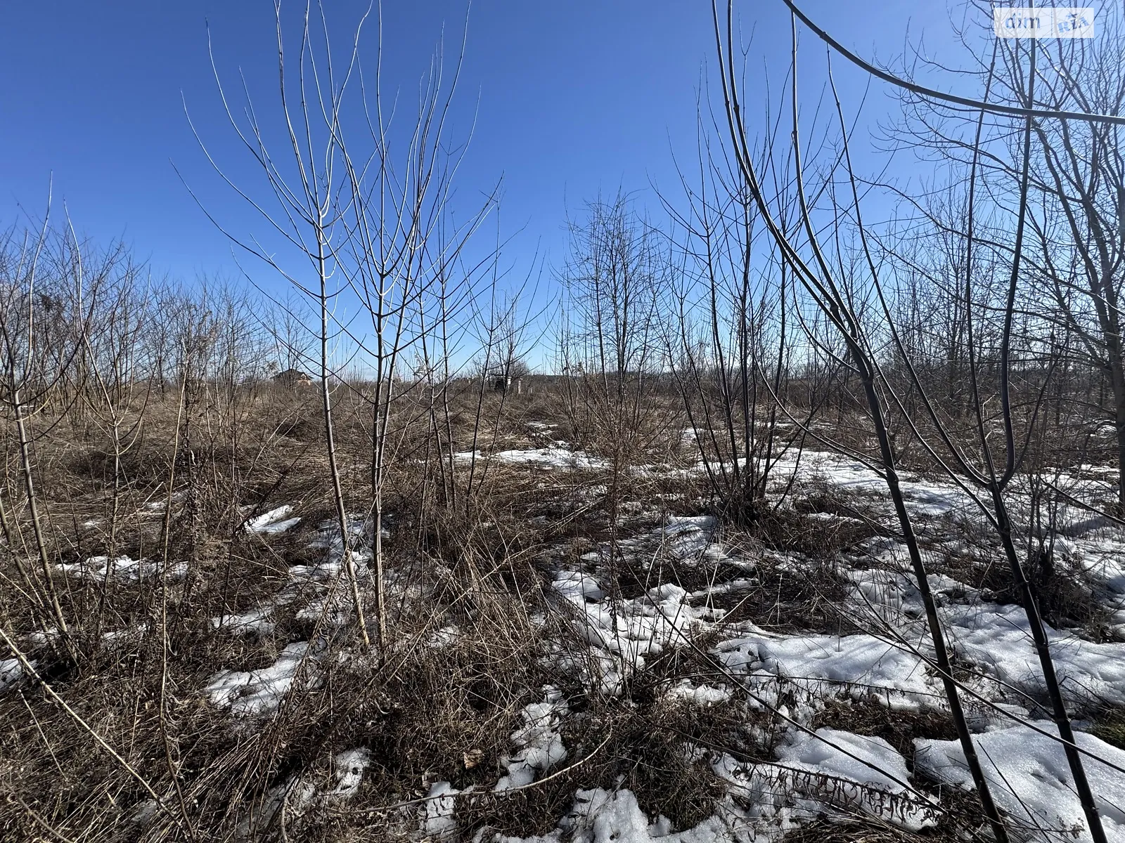 Продается земельный участок 8 соток в Винницкой области, цена: 18000 $ - фото 1