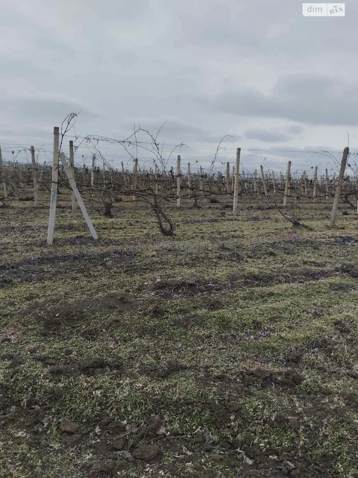 Васильевка (Фрунзовка), цена: 10644 грн - фото 1