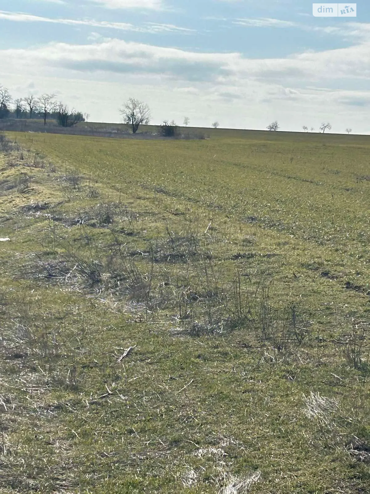 Васильевка (Фрунзовка), цена: 20858 грн - фото 1