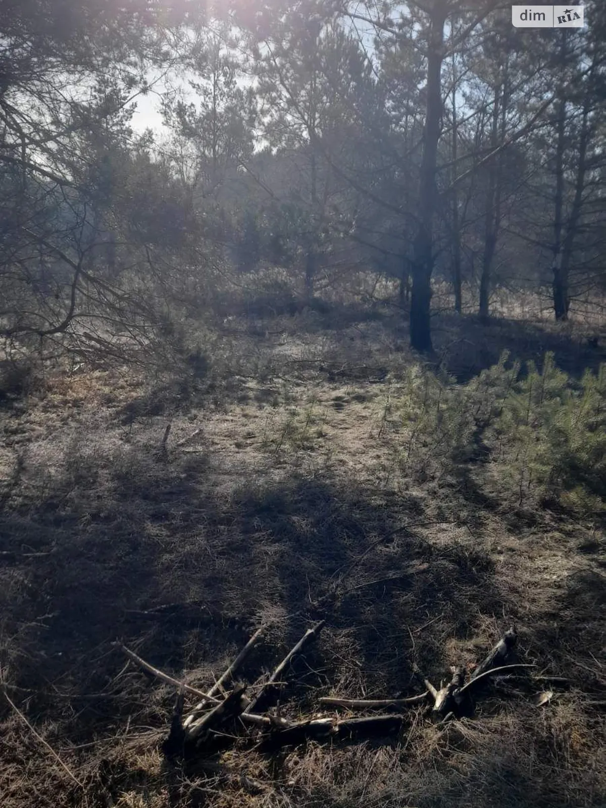 Здається в оренду земельна ділянка 20 соток у Львівській області, цена: 35383 грн - фото 1