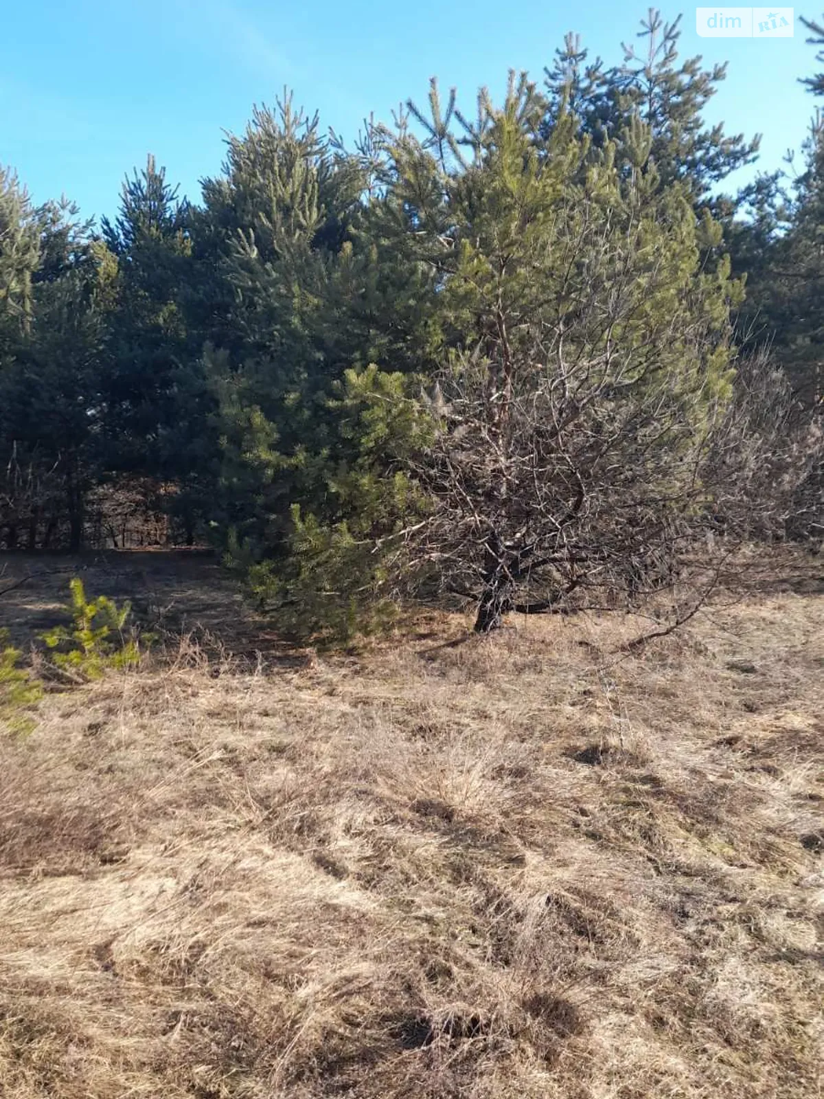 Долгомостиская, цена: 29105 грн - фото 1