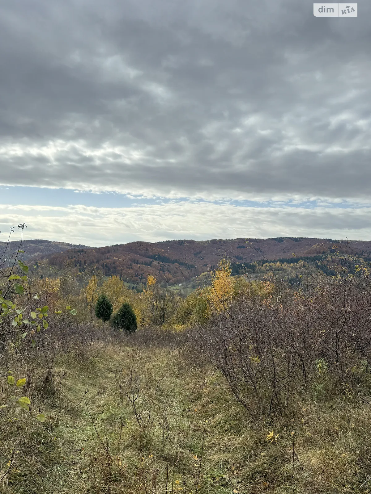 Орів, цена: 41999 $ - фото 1