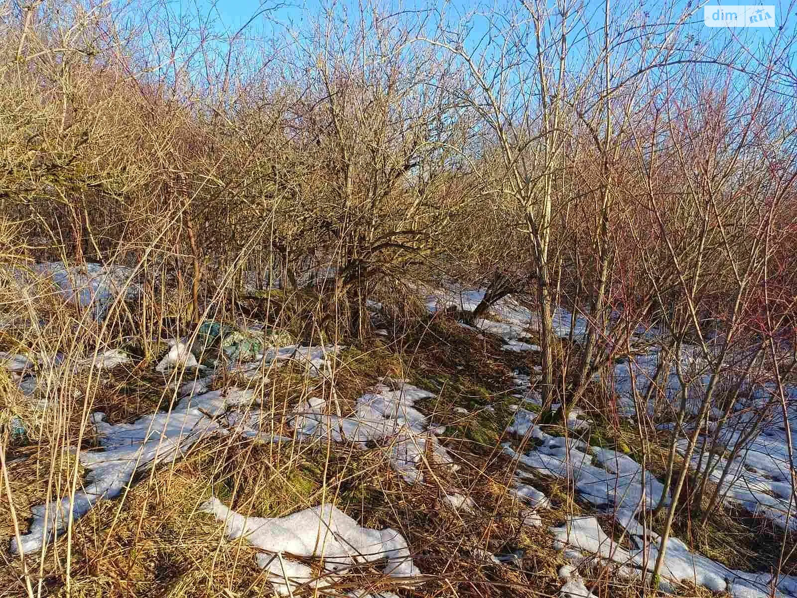 Здається в оренду земельна ділянка 18.9952 соток у Львівській області, цена: 103649 грн - фото 1