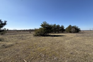 Продаж землі сільськогосподарського призначення, Дніпропетровська, Єлизаветівка