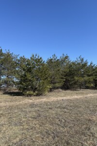 Продаж землі сільськогосподарського призначення, Дніпропетровська, Єлизаветівка