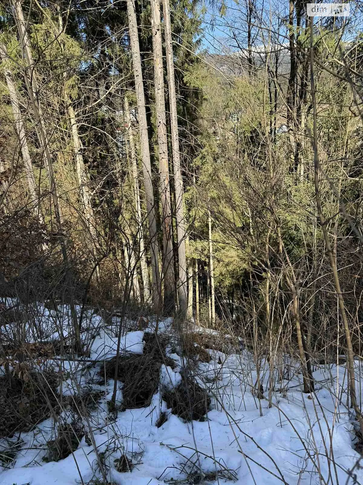 Продается земельный участок 17 соток в Ивано-Франковской области, цена: 85000 € - фото 1