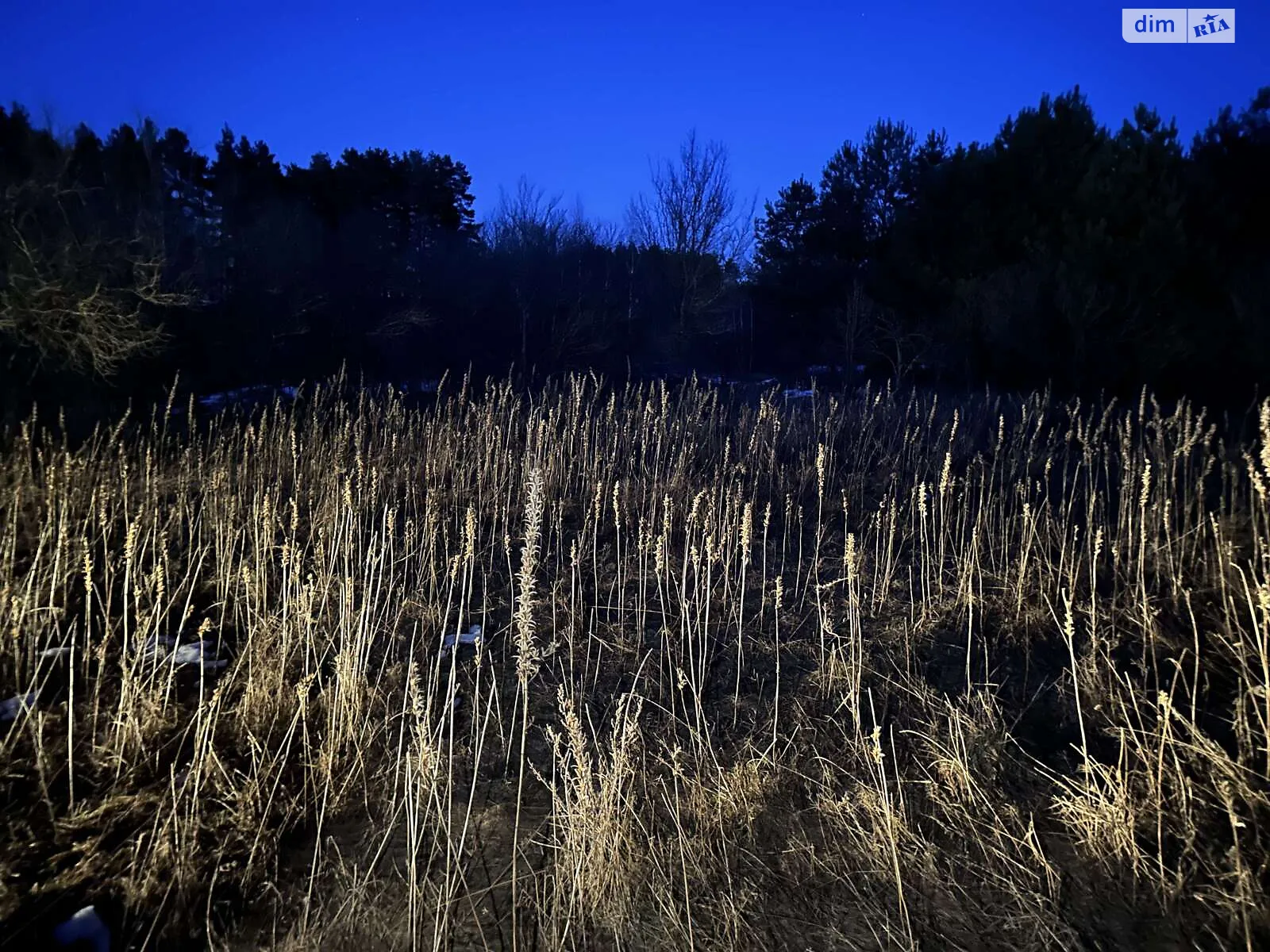 Вулиця Каштанова Лісопіль, цена: 4000 $ - фото 1