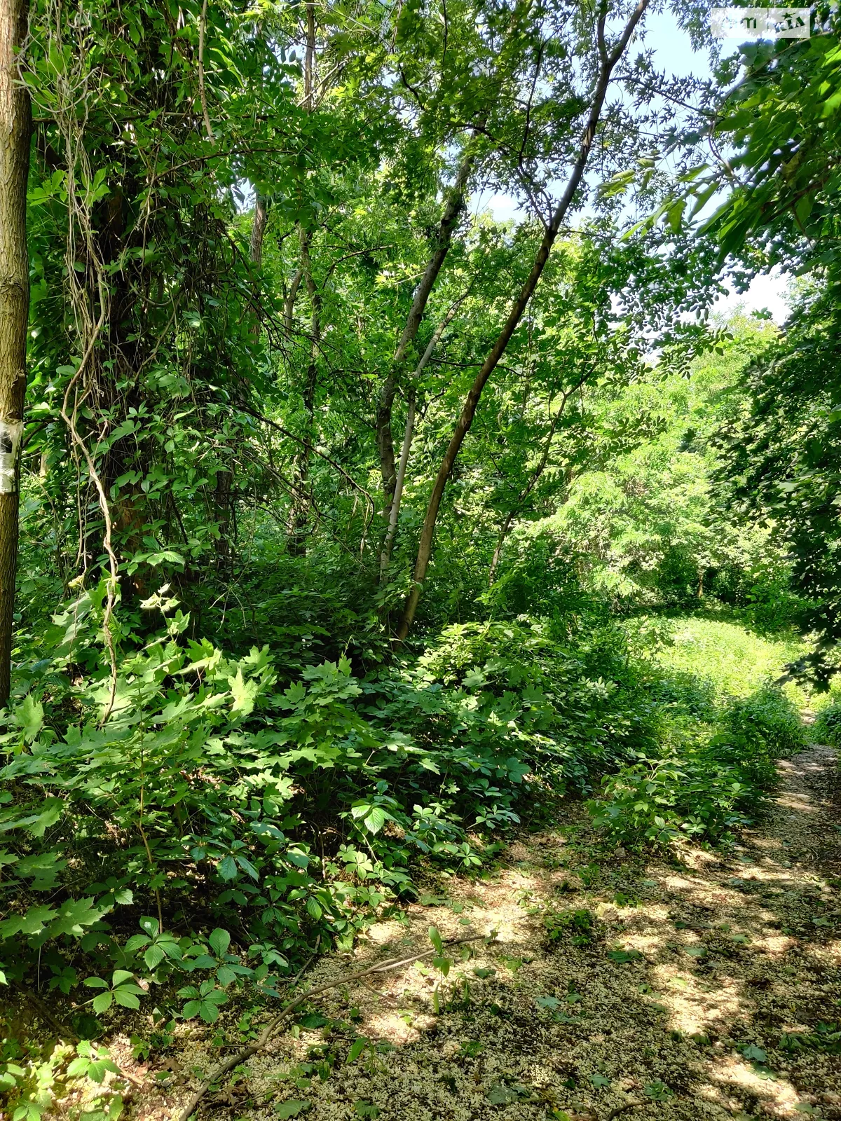 Продается земельный участок 10 соток в Киевской области, цена: 105000 $ - фото 1