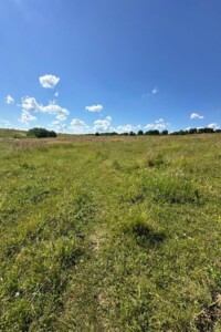 Продаж землі сільськогосподарського призначення, Хмельницька, Лісові Гринівці