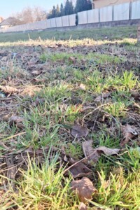 Продаж ділянки під житлову забудову, Закарпатська, Сторожниця, Перемоги вулиця