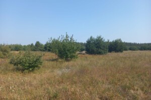 Продажа участка под жилую застройку, Киевская, Абрамовка, Центральная улица