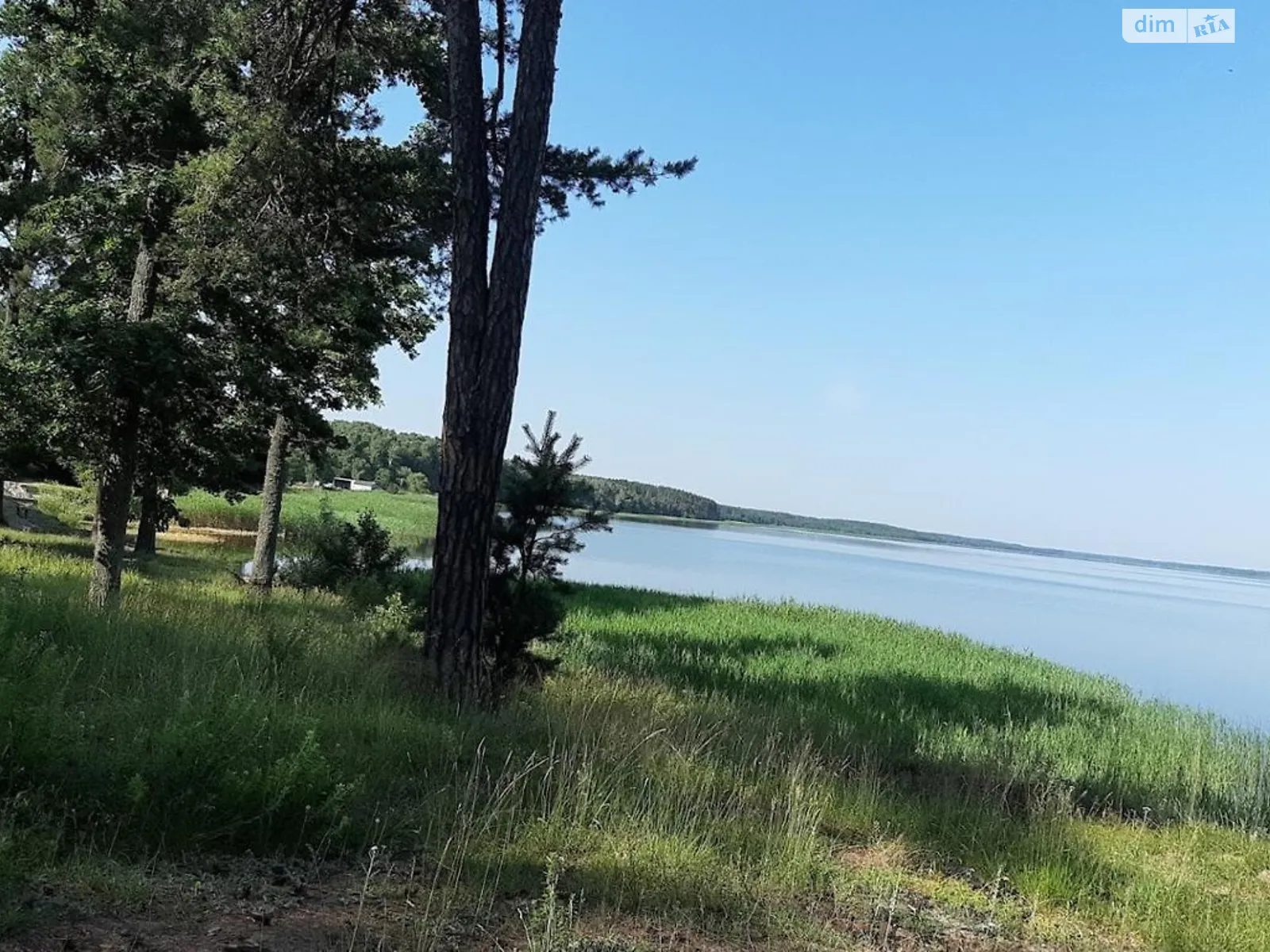 Продается земельный участок 0.5 соток в Житомирской области, цена: 5000 $ - фото 1