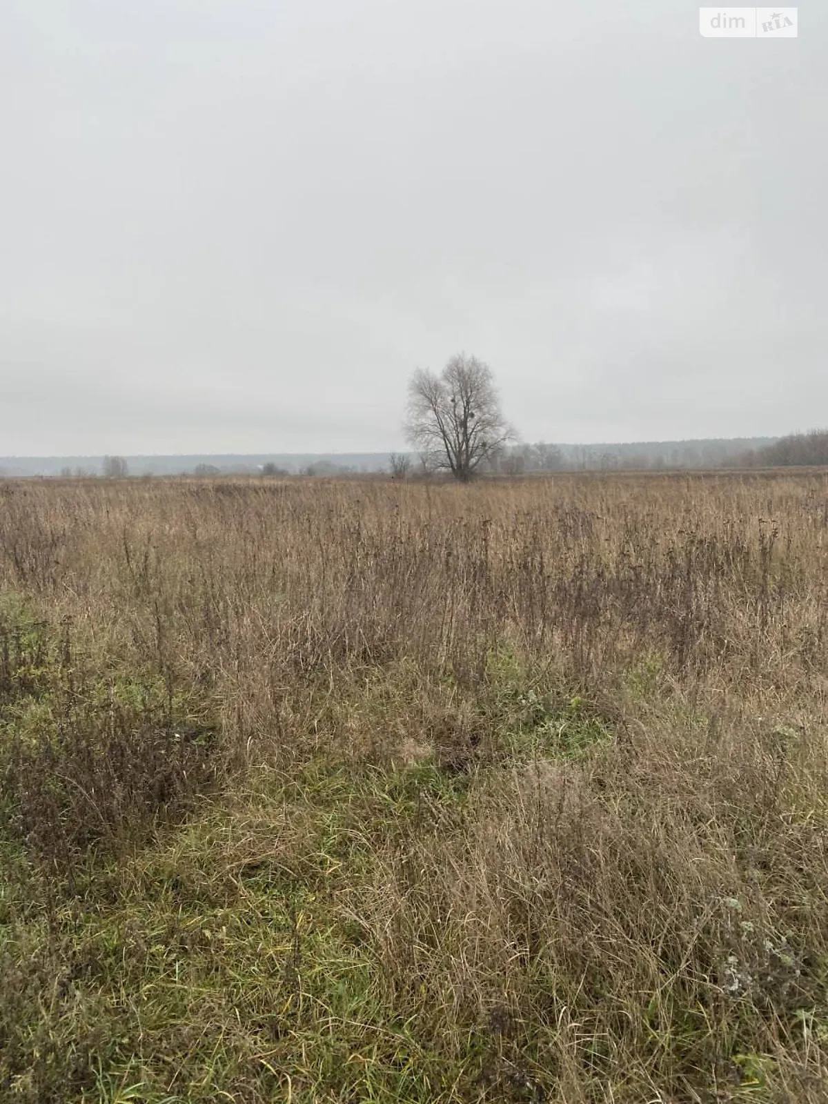 Продается земельный участок 6.15 соток в Киевской области, цена: 13000 $ - фото 1