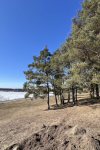 Продажа земли сельскохозяйственного назначения, Хмельницкая, Ружичанка