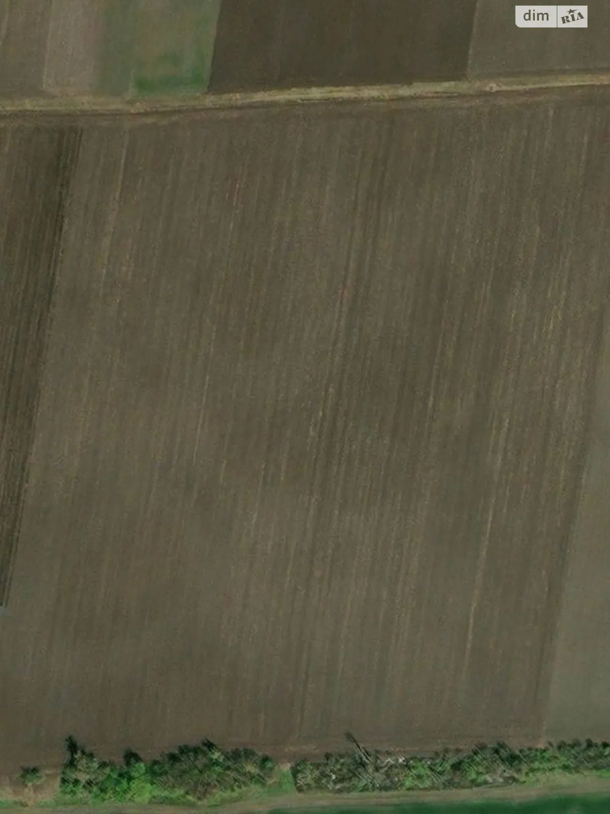 Сдается в аренду земельный участок 3.8 соток в Черкасской области, цена: 36000 грн - фото 1