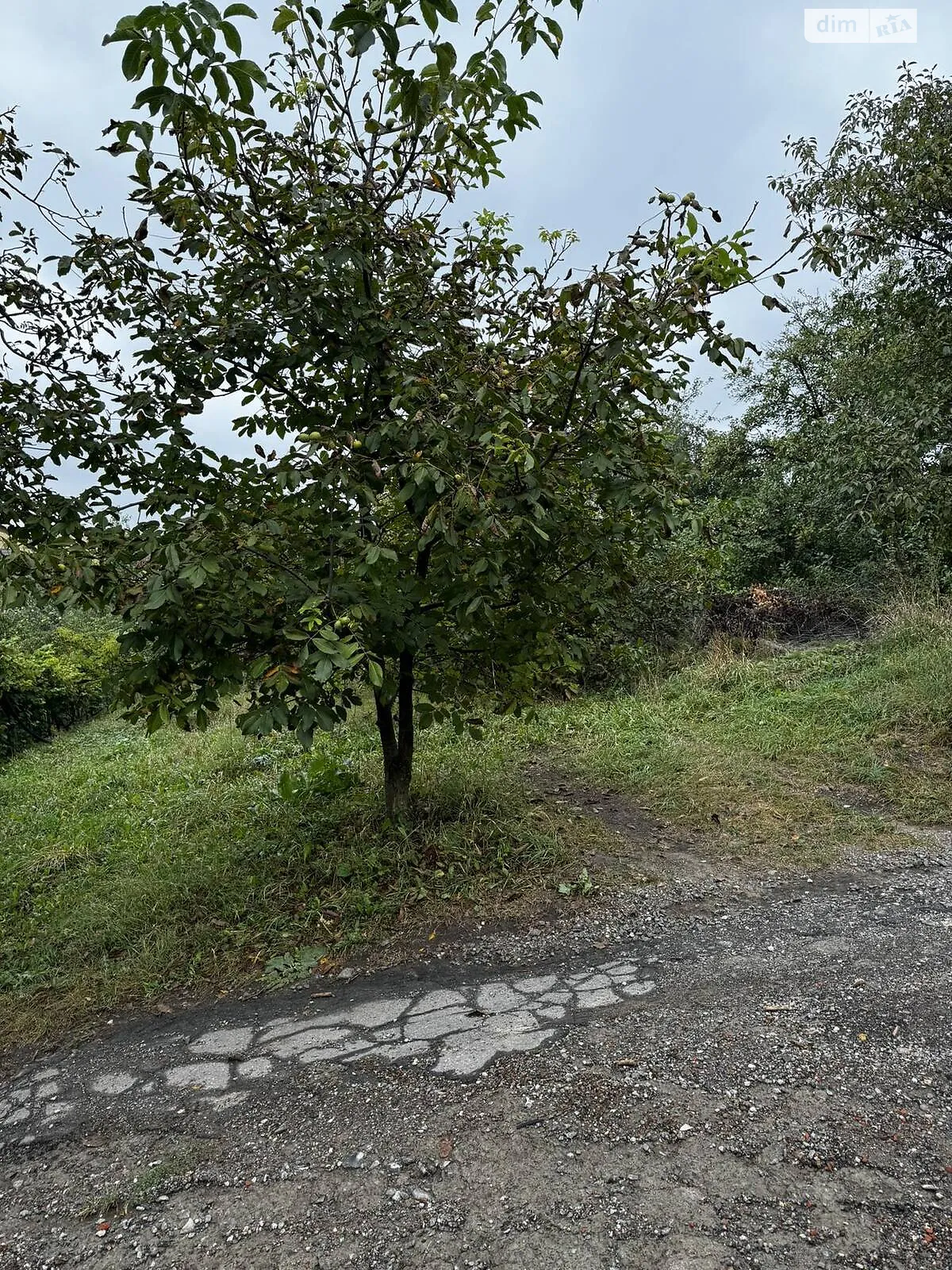 Продается земельный участок 6 соток в Хмельницкой области, цена: 6000 $ - фото 1