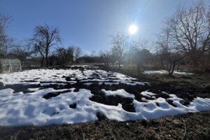 Продажа земли сельскохозяйственного назначения, Тернопольская, Петриков