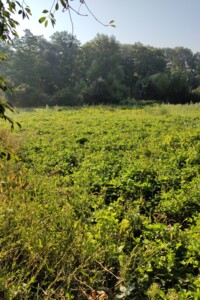 Продажа участка под жилую застройку, Хмельницкая, Нижние Волковцы, провулок Жовтневий