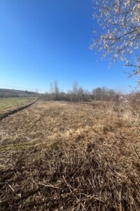 Продаж землі сільськогосподарського призначення, Тернопільська, Двірець