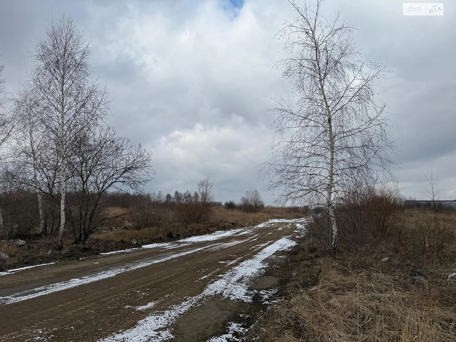 Продается земельный участок 2.8501 соток в Ивано-Франковской области, цена: 3705130 грн - фото 1