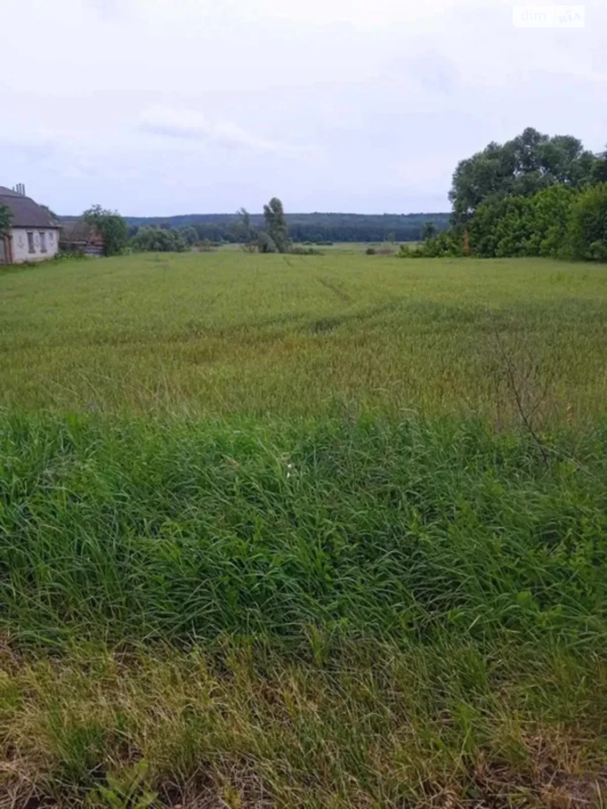 Продается одноэтажный дом 51 кв. м с мансардой, цена: 55000 $ - фото 1