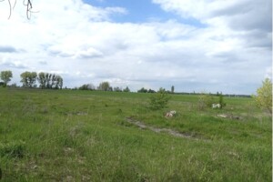 Продажа земли сельскохозяйственного назначения, Киевская, Берестянка, Центральная (Пионерская) улица