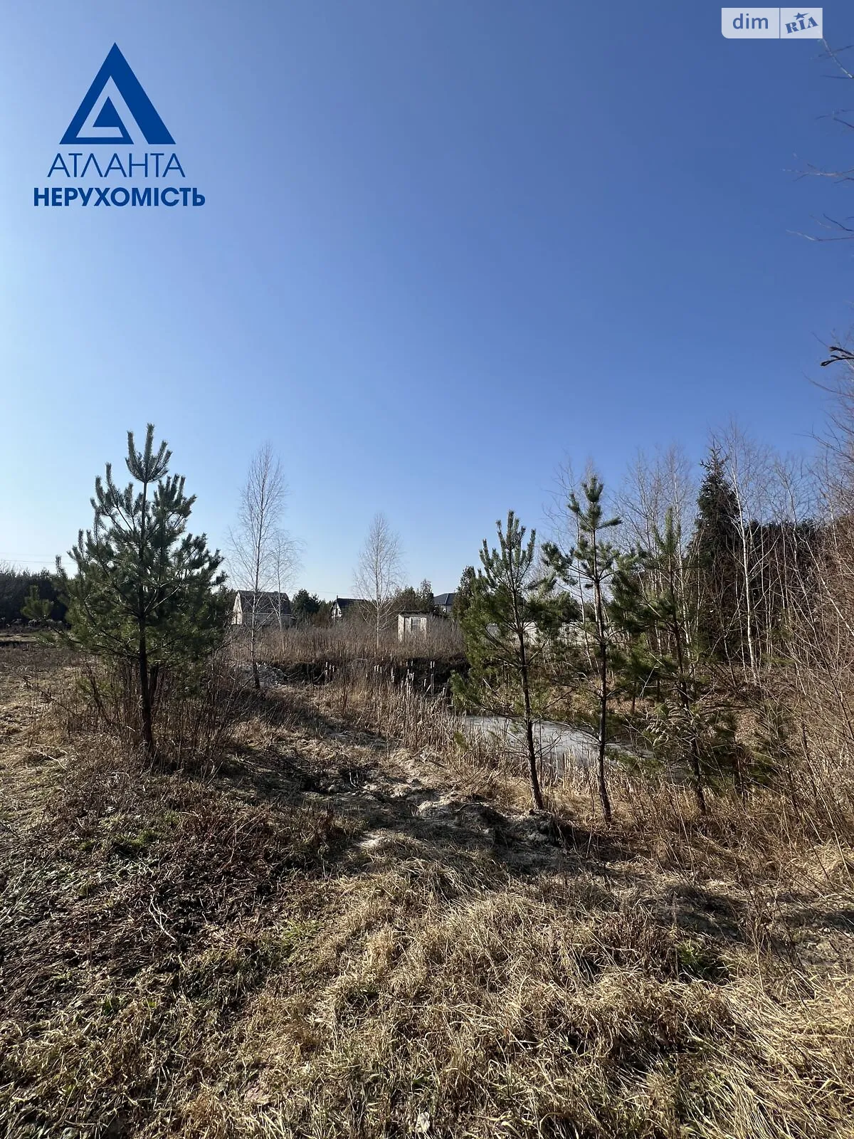 Продается земельный участок 24 соток в Волынской области, цена: 31000 $ - фото 1