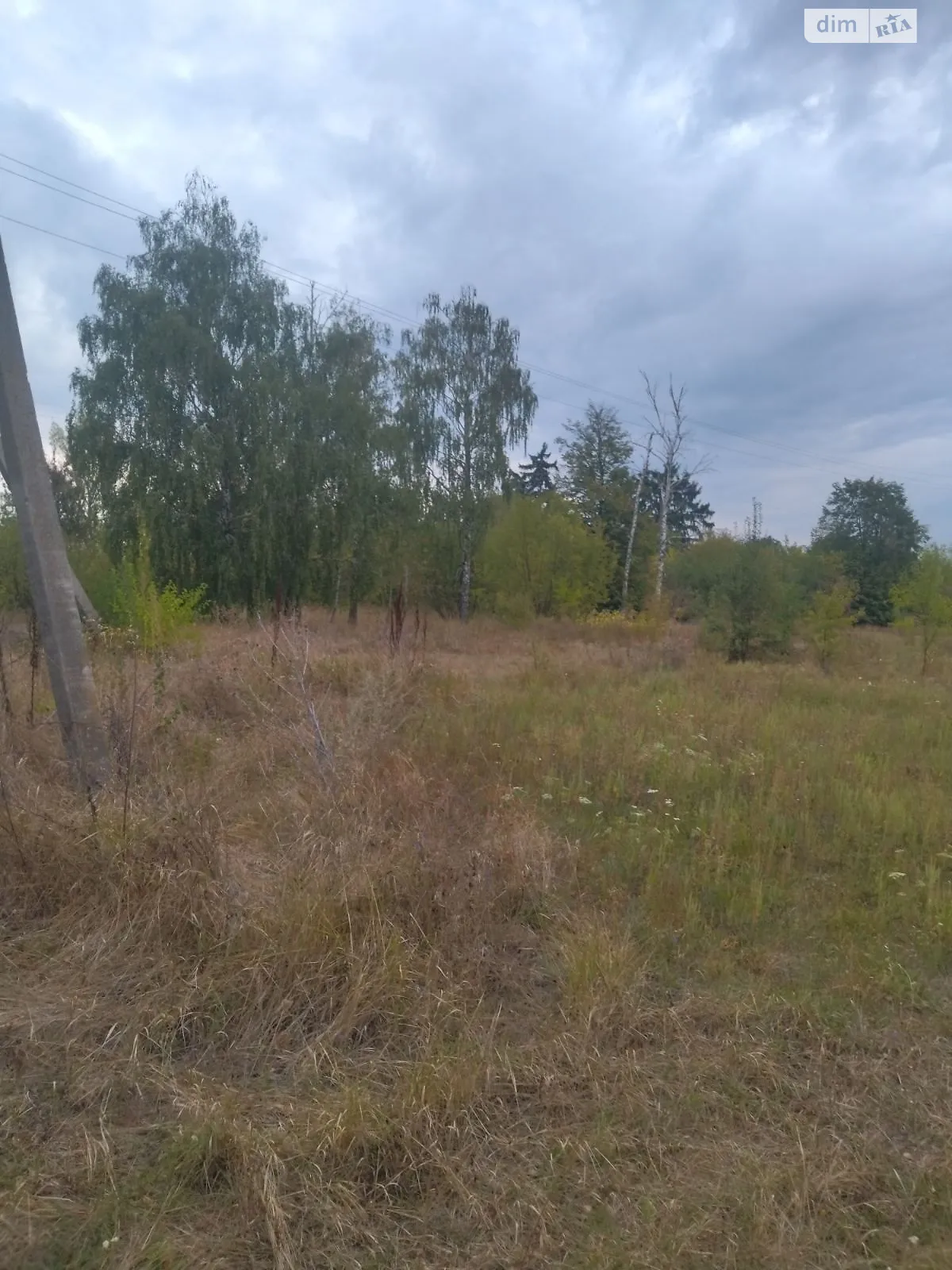 Сдается в аренду земельный участок 0.6036 соток в Черкасской области, цена: 988 грн - фото 1