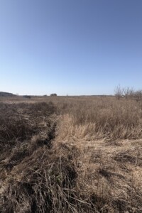 Продажа земли сельскохозяйственного назначения, Винницкая, Агрономичное, масив Прибережний