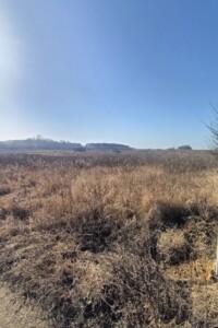 Продажа земли сельскохозяйственного назначения, Винницкая, Агрономичное, масив Прибережний