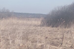 Аренда участков