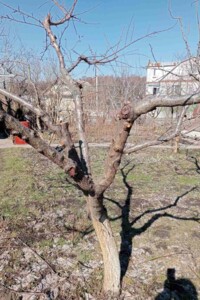 Аренда участков