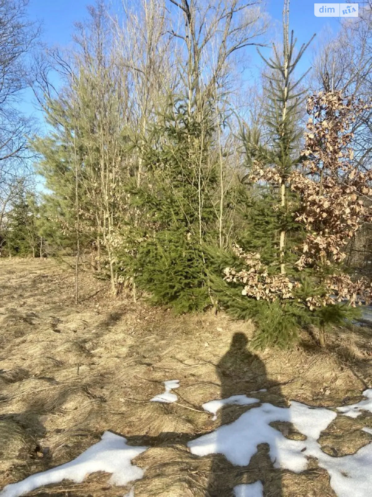 Продается земельный участок 20 соток в Ивано-Франковской области, цена: 17000 $ - фото 1