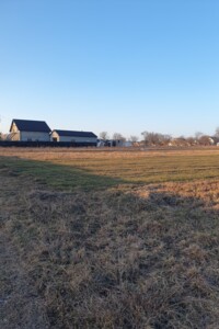 Продаж землі сільськогосподарського призначення, Вінницька, Якушинці