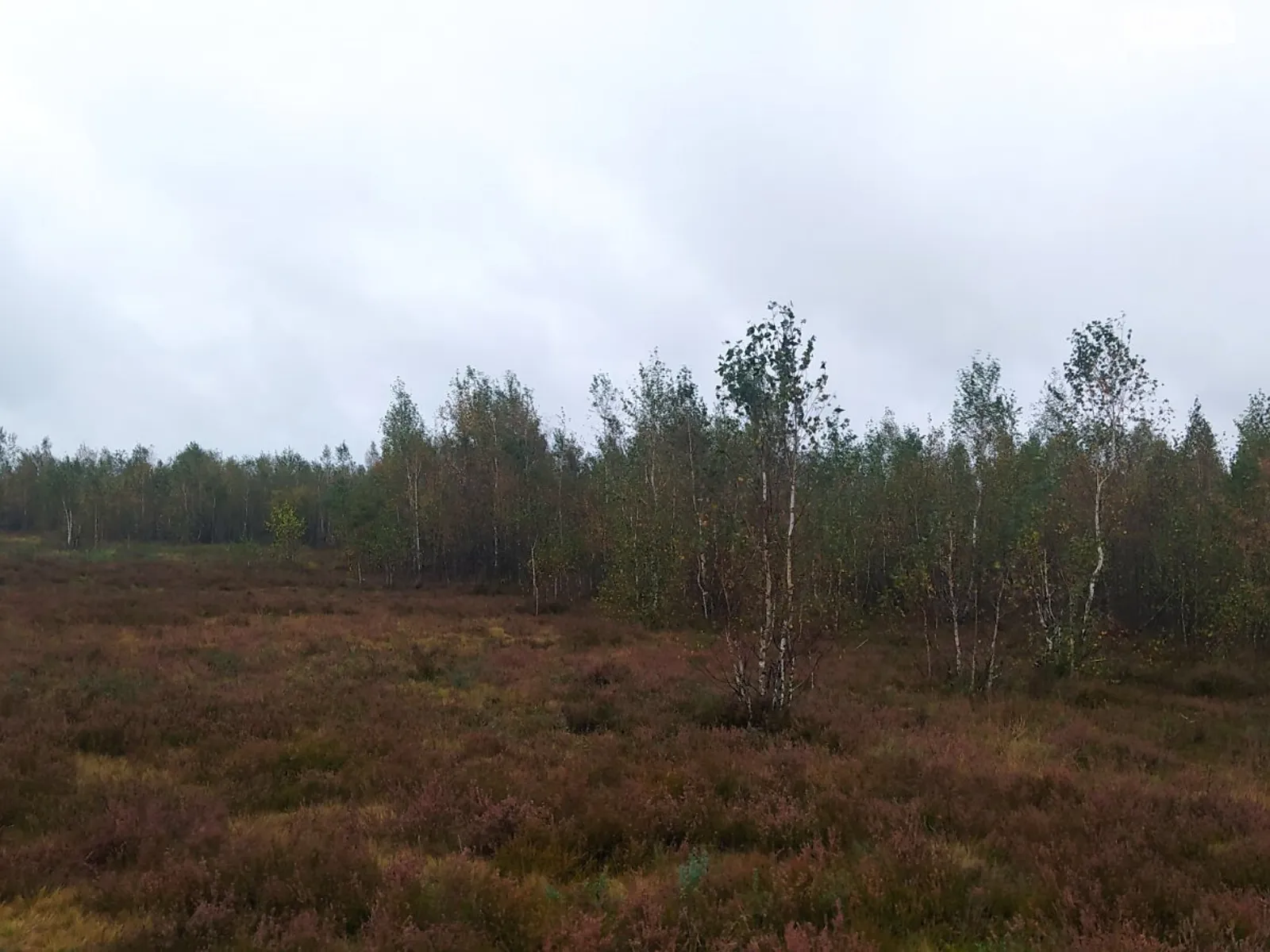 Здається в оренду земельна ділянка 4 соток у Хмельницькій області, цена: 15996 грн - фото 1
